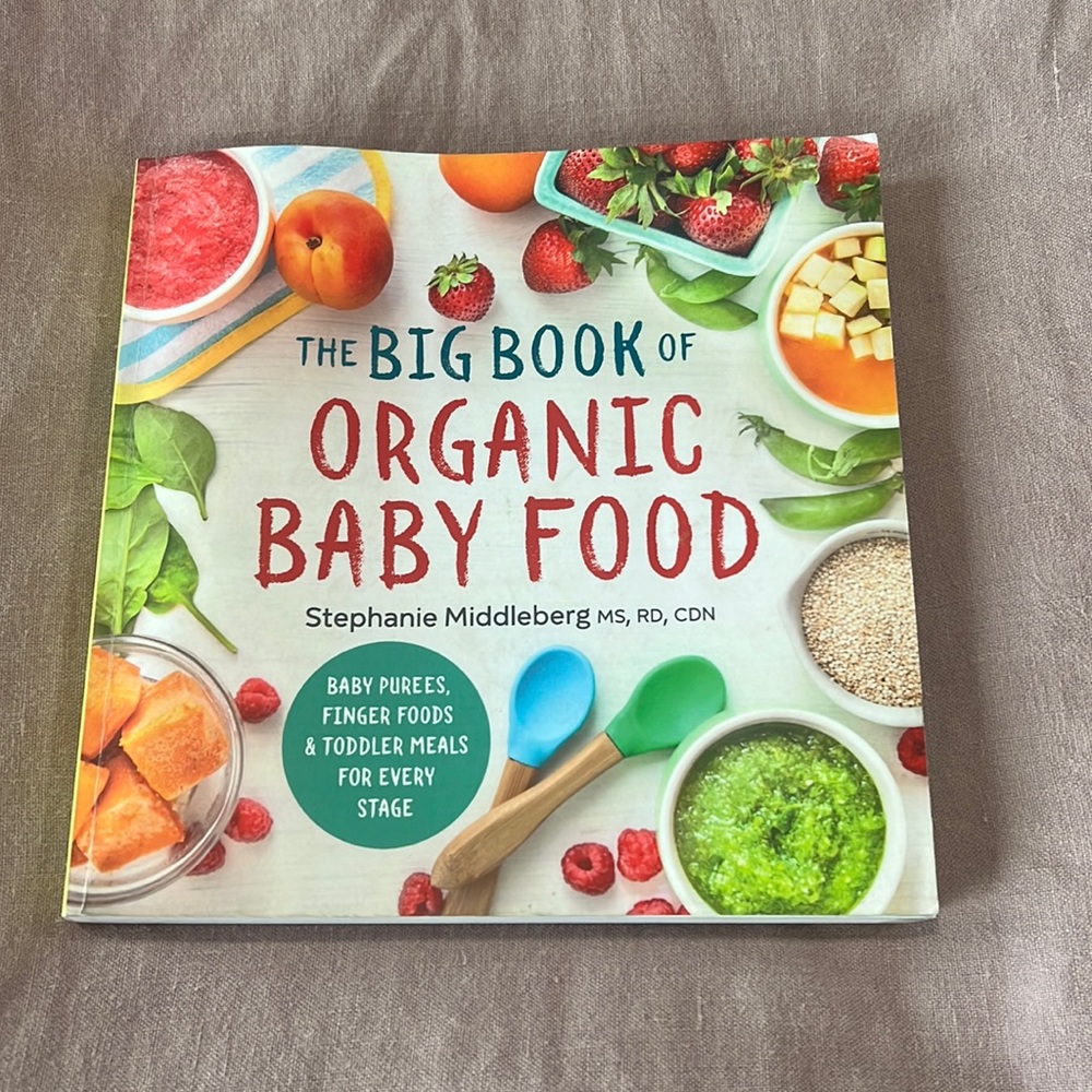 The Big Book of Organic Baby Food